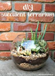 Succulent Terrarium In A Clear Glass Bubble Bowl Diy Succulent Terrarium Succulent Garden Diy Succulent Bowls