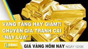 Gia Vang Mới Nhất Hom Nay 12 6 2020 Vang Tăng Hay Giảm Chuyen Gia Tranh Cai Nảy Lửa Fbnc Youtube
