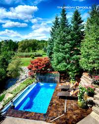 Sea Turtle Pool Designs Fiberglass Pools Pool