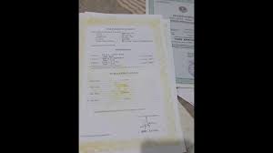 Membuat surat lamaran kerja memang terlihat gampang. Cara Mengisi Daftar Riwayat Hidup Youtube