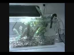 2037 How To Make An Overflow Box Nano Diy Guide Youtube Diy Guide Overflowing Cheap Diy