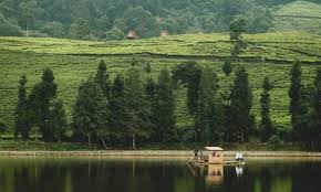 Sehingga selain banyaknya spot foto yang disediakan di sini, kamu juga dapat mengunjungi beberapa spot yang masuk dalam kategori kebun binatangnya. Keindahan Telaga Saat Yang Sedang Hits Di Puncak Bogor Dnk Tv Uin Jakarta