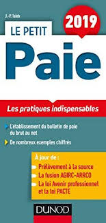Telecharger Le Petit Paie 2019 Les Pratiques Indispensables Complet Epub Pdf Telechargement Pdf Gratuit Telecharger Gratuit