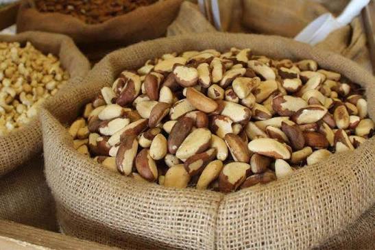Premium Brazil Nuts Bulk Supplier South Africa