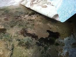 If you are replacing the entire vermiculite base, rent a concrete mixer from a home improvement store, or consider hiring a pool professional to do the. Vinyl Pool Floor Repairs