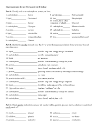 Know the properties of basic macromolecules in living organisms. Pin By Mary Louise Maas On Science Photosynthesis Worksheet Macromolecules Biology Worksheet