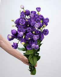 Image result for eustoma lisianthus in vase