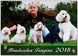 Hundesalon Tangina