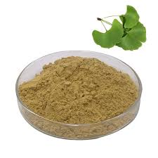 Mwepụta mkpụrụ ginkgo biloba dị iche iche maka ojiji na ngwaahịa dị iche iche - Alibaba.com