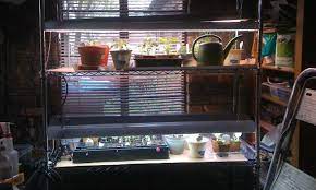 Daily growing tips and advice. Indoor Grow Lights Epic Gardening