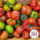 Everyone Loves Tomatoes