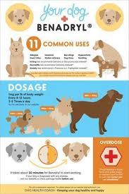 Pin On Dogs