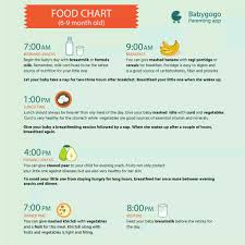 Need Diet Plan Nd Food Chart For 8 Month Old Baby