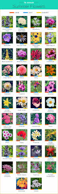 In warm regions, stock flowers all winter. What Flowers Are In Season Ftd Com