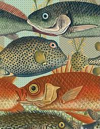 Flora Fauna Marine Fish Irish Algae Wrapping Paper By Paper Source I D Love A Chance To Design A Masculine Roo Fish Wrapping Paper Marine Fish Fish Art