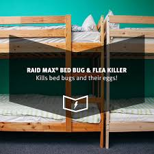 Are you looking to learn about raid and whether or not it kills bed bugs? Raid Max Bed Bug Flea Killer 17 5oz Walmart Com Walmart Com