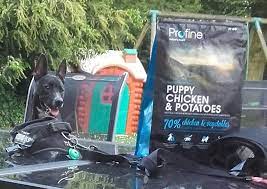 Reviews About Profine Puppy Chicken And Potatoes