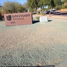 I've tried a few different sprays and i'm not sure if they really are doing anything. Phoenix Weed Control For Commercial Residential Industrial