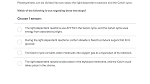 Bio ch 9 flashcards quizlet. Photosynthesis Biology Library Science Khan Academy
