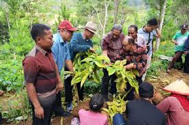Waktu sekarang yang tepat, zona waktu, perbedaan waktu, waktu matahari terbit / matahari tenggelam, dan fakta kunci untuk jambi, jambi, indonesia. Porang Komersial Bukan Sekedar Tanaman Komersial Sumeks Co