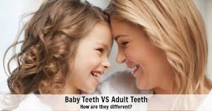 All 20 baby teeth tend to be fully. The Difference Between Adult Baby Teeth Dentist For Kids Fridley Mn