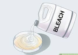 How To Grow Bacteria In A Petri Dish 10 Steps With Pictures