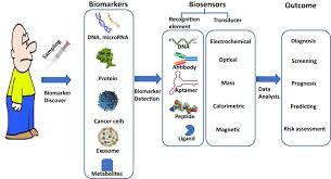 Unfortunately, pancreatic cancer can be successfully treated only in its earliest stages, before it has spread, so that it can be completely removed by surgery. Biosensors For Early Diagnosis Of Pancreatic Cancer A Review Translational Research