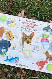 Trader Joe S Advent Calendars For Dogs Are Back Cause Pups Deserve Presents Too Dog Advent Calendar Dog Holiday Potato Dog