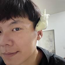 噓！星聞- 18年菸癮為愛戒掉😱 #張書豪毅力驚人餒><