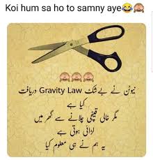 The same qualities that make a standard joke funny make an icebreaker joke funny. 18 Urdu Funny Quotes Ideas Urdu Funny Quotes Funny Quotes Fun Quotes Funny