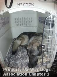 United States War Dog Association Chapter 1 Western Region