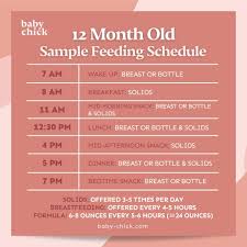 12-Month-Old Baby: Feeding, Sleep, and Milestones by Month - Baby Chick