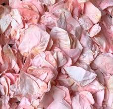 Light Pink Rose Petals Rose Petals Near Me Flower Petals In 2020 Dried Rose Petals Freeze Dried Rose Petals Light Pink Rose