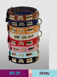 Tintpets Collars Ebay Pet Supplies