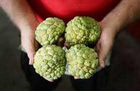 The Everglades: Robert Is Here, the Disney World of Fruit Stands