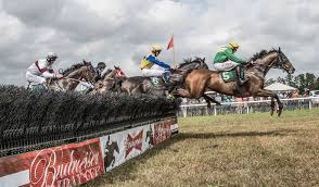Steeplechasing is primarily conducted in ireland (where it originated), the united kingdom, canada, united states, australia and france. Aiken Steeplechase Home Facebook
