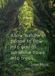Inspirations Mountain Quotes Amazing Mountains Caves And Canyons Got Some Amazing Mountain Photography Climbing Nature Quotes John Muir Quotes Hiking Quotes