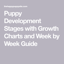 Puppy Development Stages With Growth Charts And Week By Week