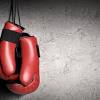 Looking for a good deal on boxing gloves? 1