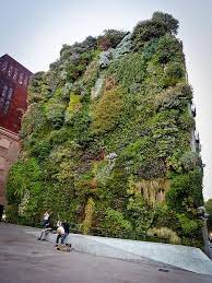 sacred geometry vertical garden urban garden green facade