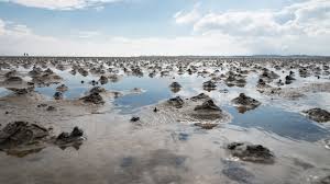 Wattenmeere (abgeleitet von watt) sind bestimmte küstenbereiche eines meeres, die unter einem starken einfluss der gezeiten stehen. Datei Wattenmeer Nordsee Jpg Wikipedia