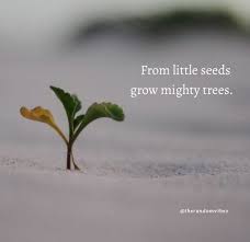 80 Planting Seeds Quotes To Inspire You To Be Successful