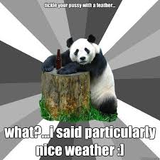 Tickle Your Pussy With A Feather What I Said Particularly Nice Weather Pickup Line Panda Quickmeme