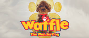 Cst Online What Are We Watching By John Ritchie A wide variety of waffle dog options are available to you, such as local service location, key selling points, and condition. john ritchie