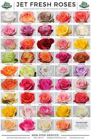 28 Best Rose Varieties Images Rose Varieties Rose Flowers