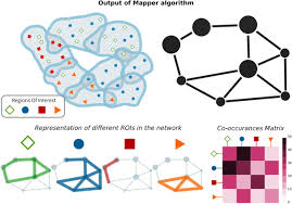 Price quoted is in u.s. Topological Gene Expression Networks Recapitulate Brain Anatomy And Function Biorxiv