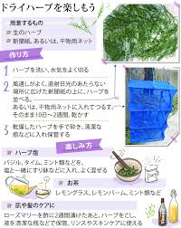 産経新聞：産経ニュース
