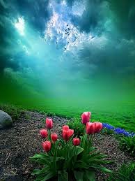 I Love The Romantic World Of Nature Beautiful Landscapes Beautiful Nature Nature Photography