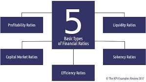 The 5 Basic Types Of Financial Ratios What Are Financial Ratios Common Financial Ratios Interpretation And List Financial Ratio Financial Analysis Financial