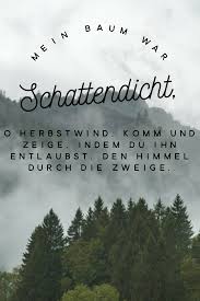 Outdoor Blog Wandern Best Mountain Artists Trekking Wanderungen Die 50 Besten Zitate Zu Den Themen Wald Und Baume Waldzitate